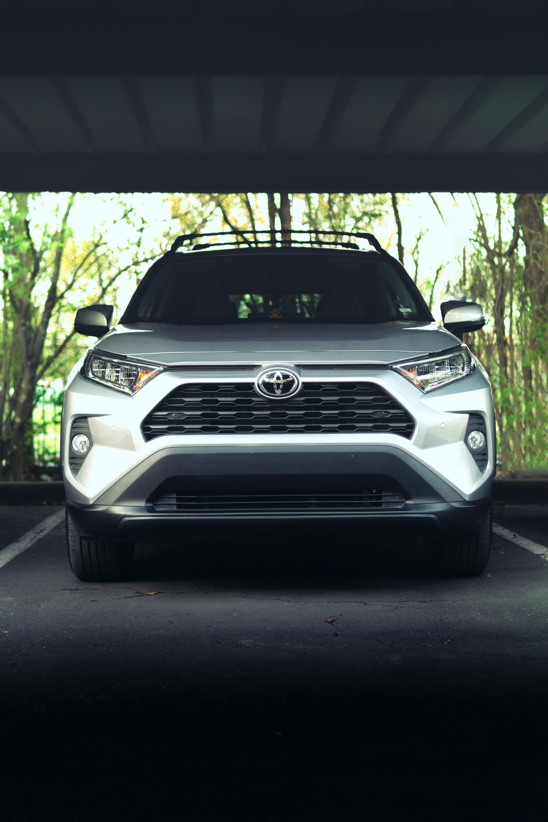 VIP & Diplomatic Protocol